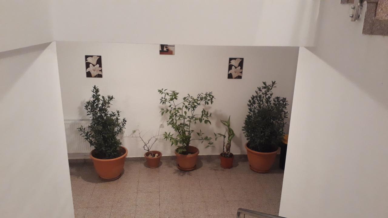 Casa Dobrescu Centura De Nord Craiova Exterior foto